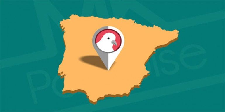 google-pigeon-seo-local