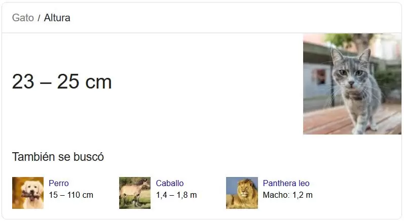 featured-snippets
