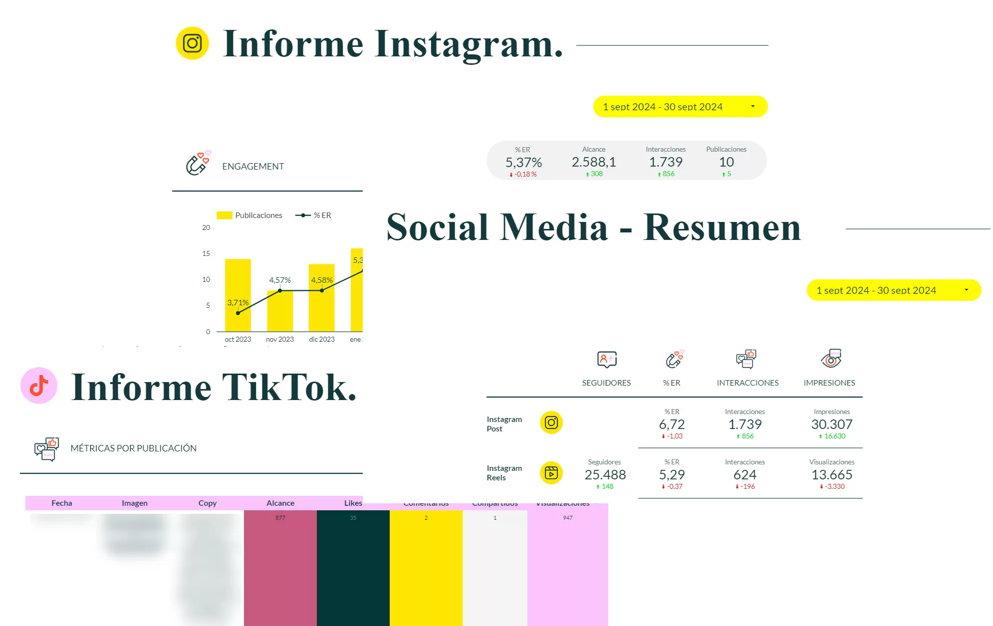 Plantilla Looker Studio Redes Sociales Composición